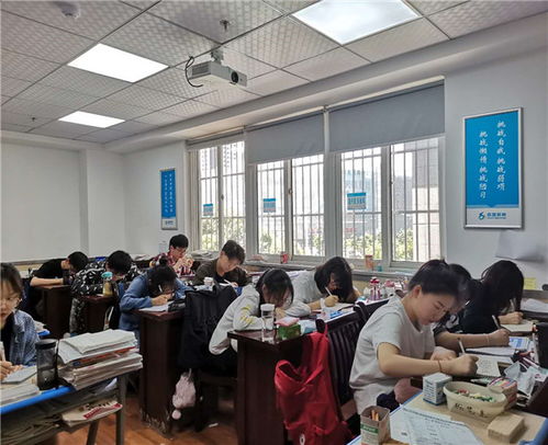 合肥艺术生文化培训机构 价格合理的文化艺术理想之选
